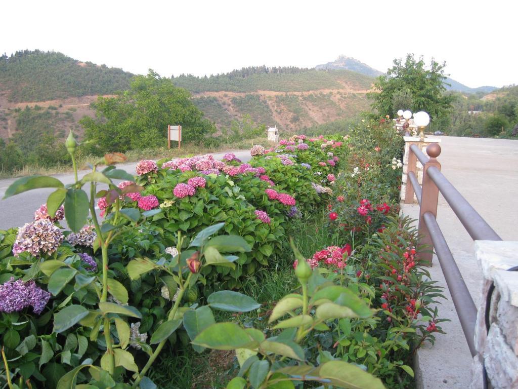 Guesthouse Moúcha 객실 사진